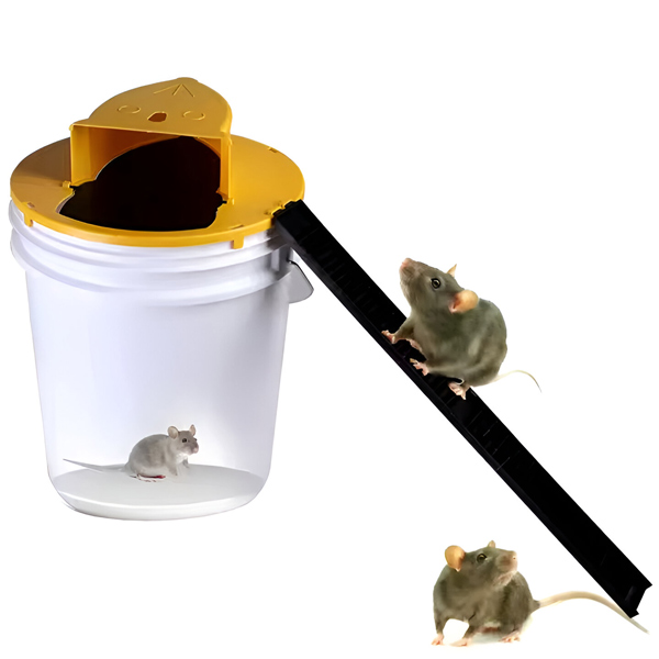 MOUSETRAP