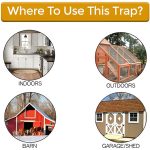 MOUSETRAP