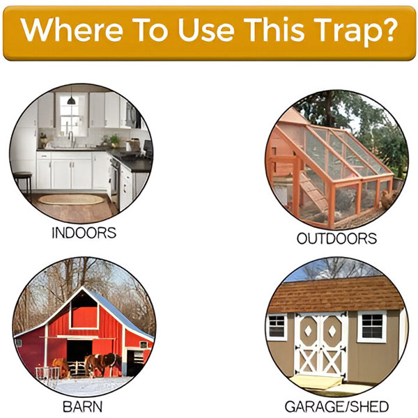 MOUSETRAP
