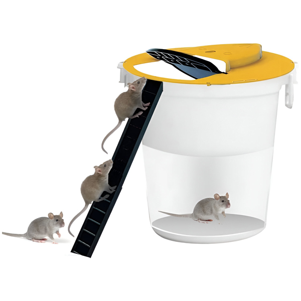 MOUSETRAP